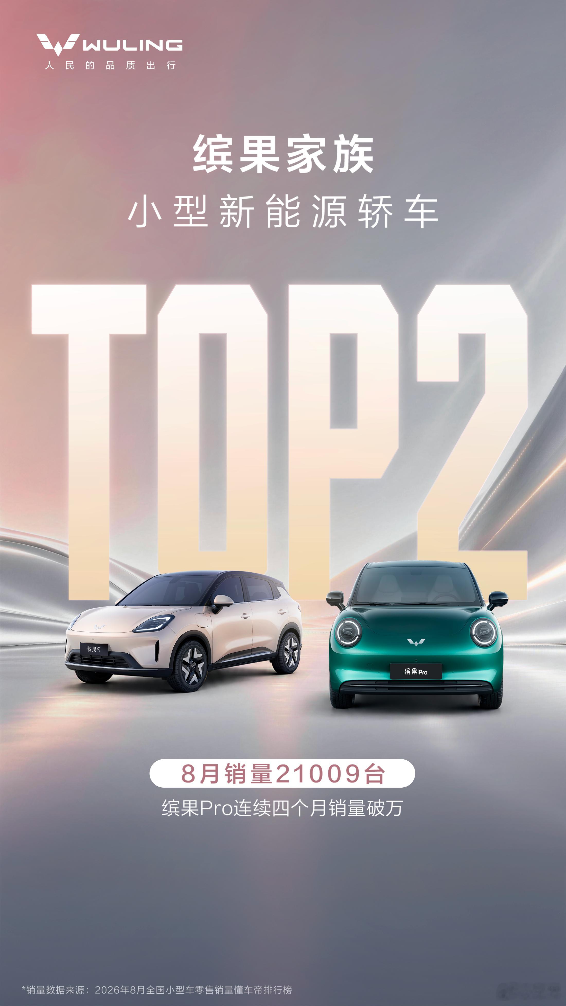 实力领衔，战绩亮眼🔥缤果家族荣登8月小型新能源轿车销量TOP2！缤果Pro 缤