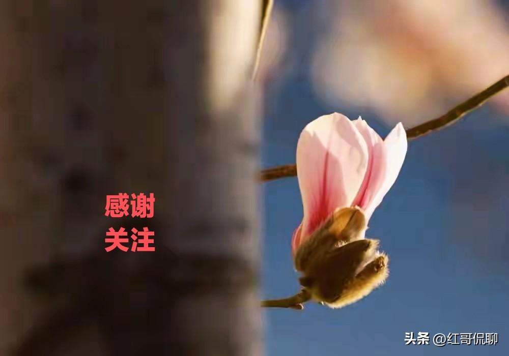 文字头条，带给你的感受比起视频更能撞击人的心灵，引发共鸣，带给人思考，而非视频作