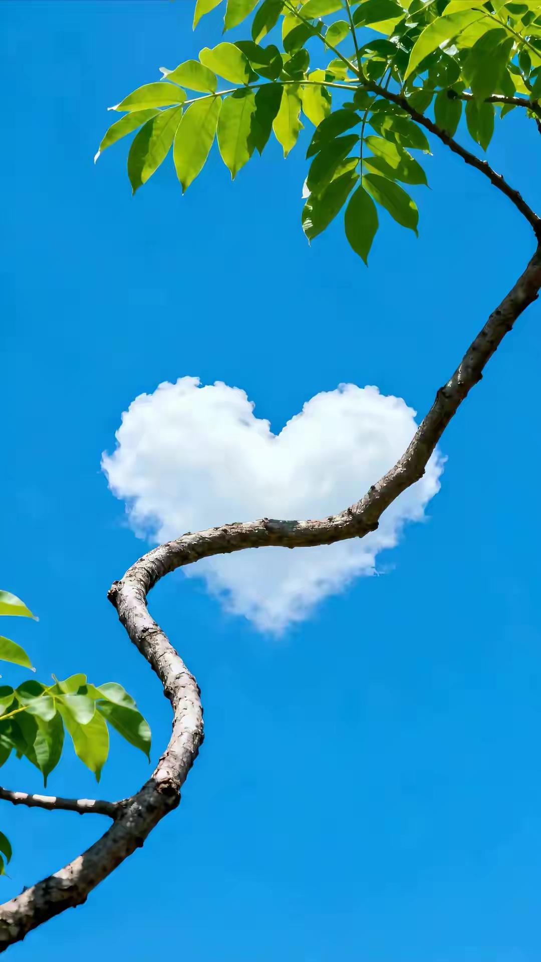 《心路》

我曾是一片云
要光临世界每个角落
然而被风撕扯
直至虚无
我缓缓降落