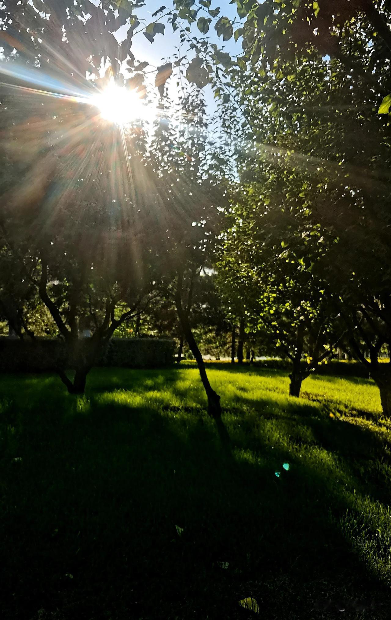 （原创）
午后的生态园非常的宁静偶尔听得鸟叫声
和煦的阳光透过枝叶洒在草地上倍感
