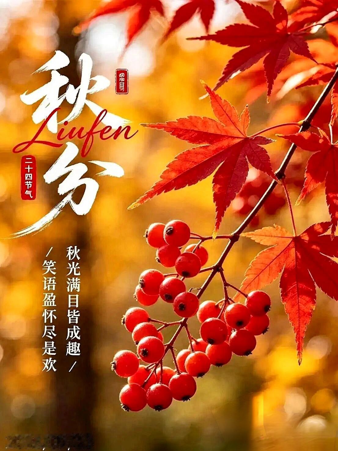 ²⁰²⁶/₀₉.₂₃ᵕ̈🍁今日秋分🍂
昼夜均分暑气收，
金风漫染野田秋。
半