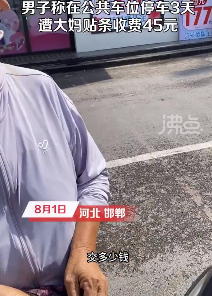 【：毫无依据 像抢劫的】8月1日，河北邯郸。男子称其将车停在公共车位3天，遭大妈