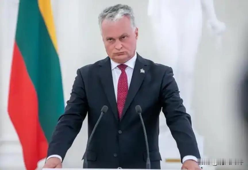 基于立陶宛对华贸易受损的核心事实，结合搜索到的经济影响、企业案例及政策转向背景，