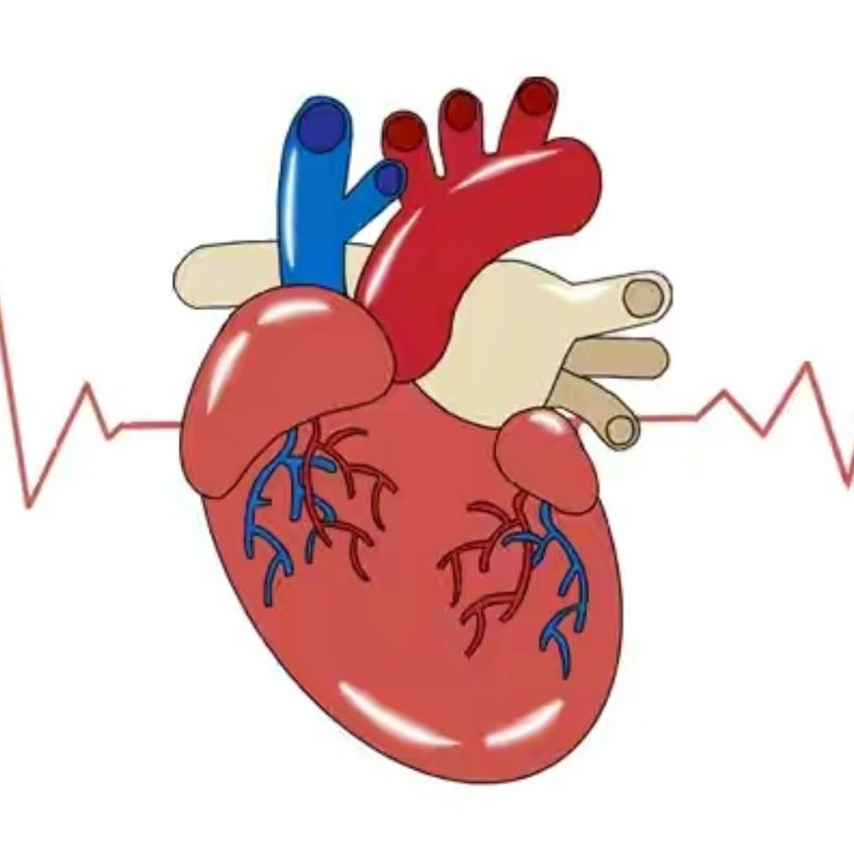 高血压患者的5条忠告如下：1、不论是否有症状，一旦血压升高就是有害的，需要进行治