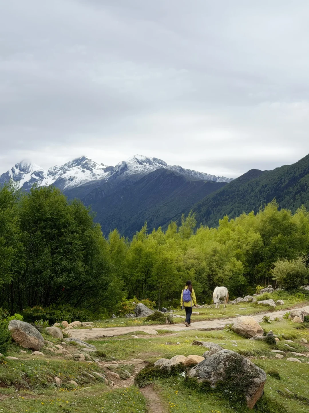 海子沟｜永远不要低估阴天的四姑娘山🏔️