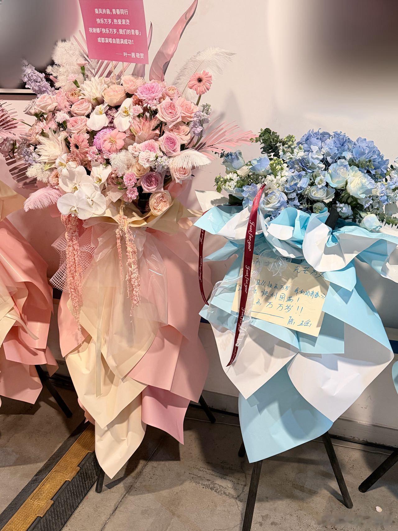好多人给谢娜送花篮谢娜演唱会好友送花篮一眼望过去全是祝福花篮，阵容豪华又温馨，大