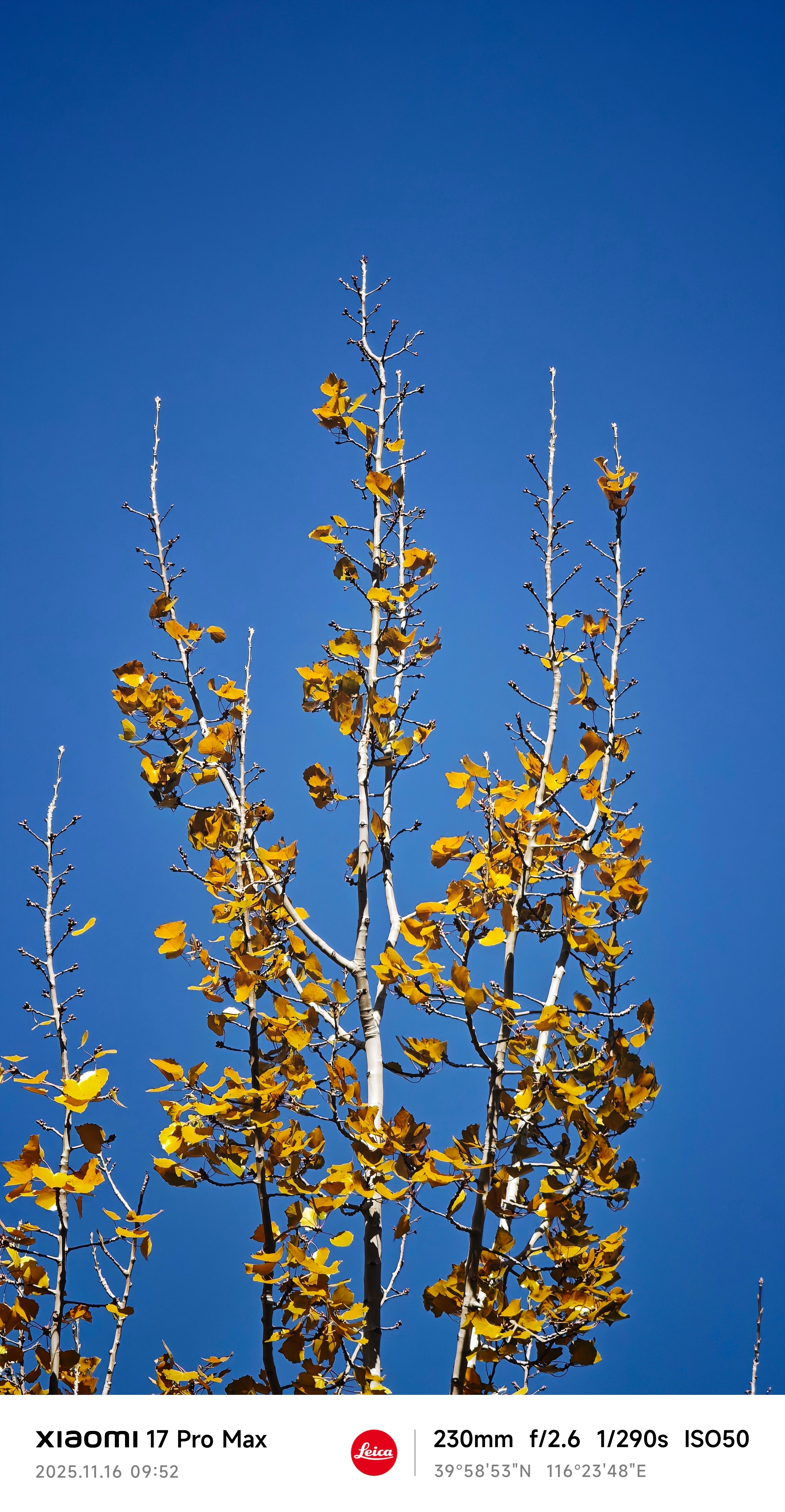 今儿天气好，上午出去走走，剪个头发，下午飞广州拍新车，已经做好重返夏天的准备摄 