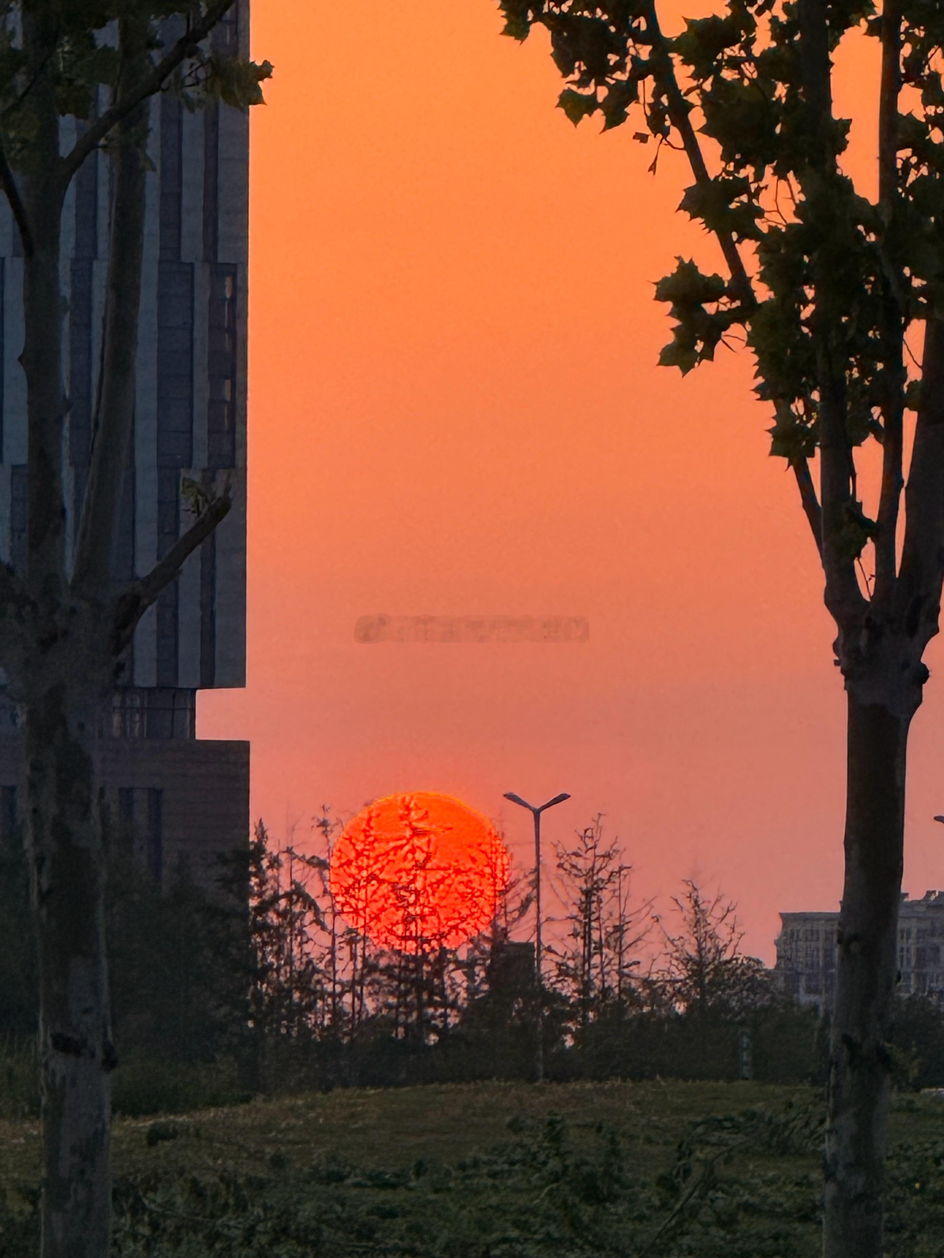 似秘密基地 ​​​