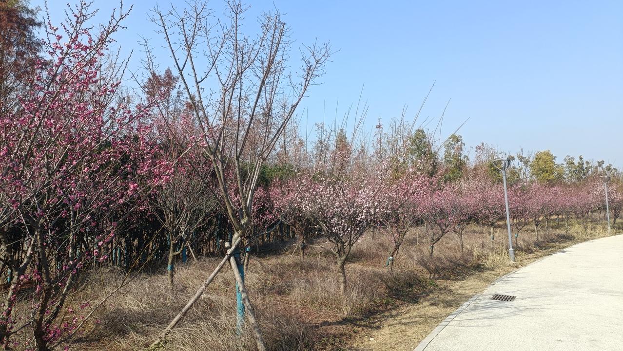 大山深处自然美山清水秀好风光分享人要多出去走走，和山在一起才是仙
