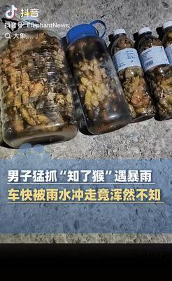 山东淄博一男子冒雨去抓知了猴，正忙着时接到交警电话，起初以为是关于违章的事，结果