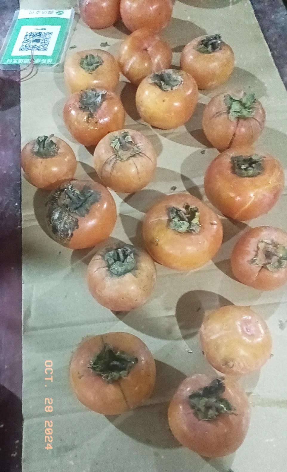 
早上在市场看到一位大妈卖柿三块钱一斤，但半天过去了无人问津，主要还是没有熟，没