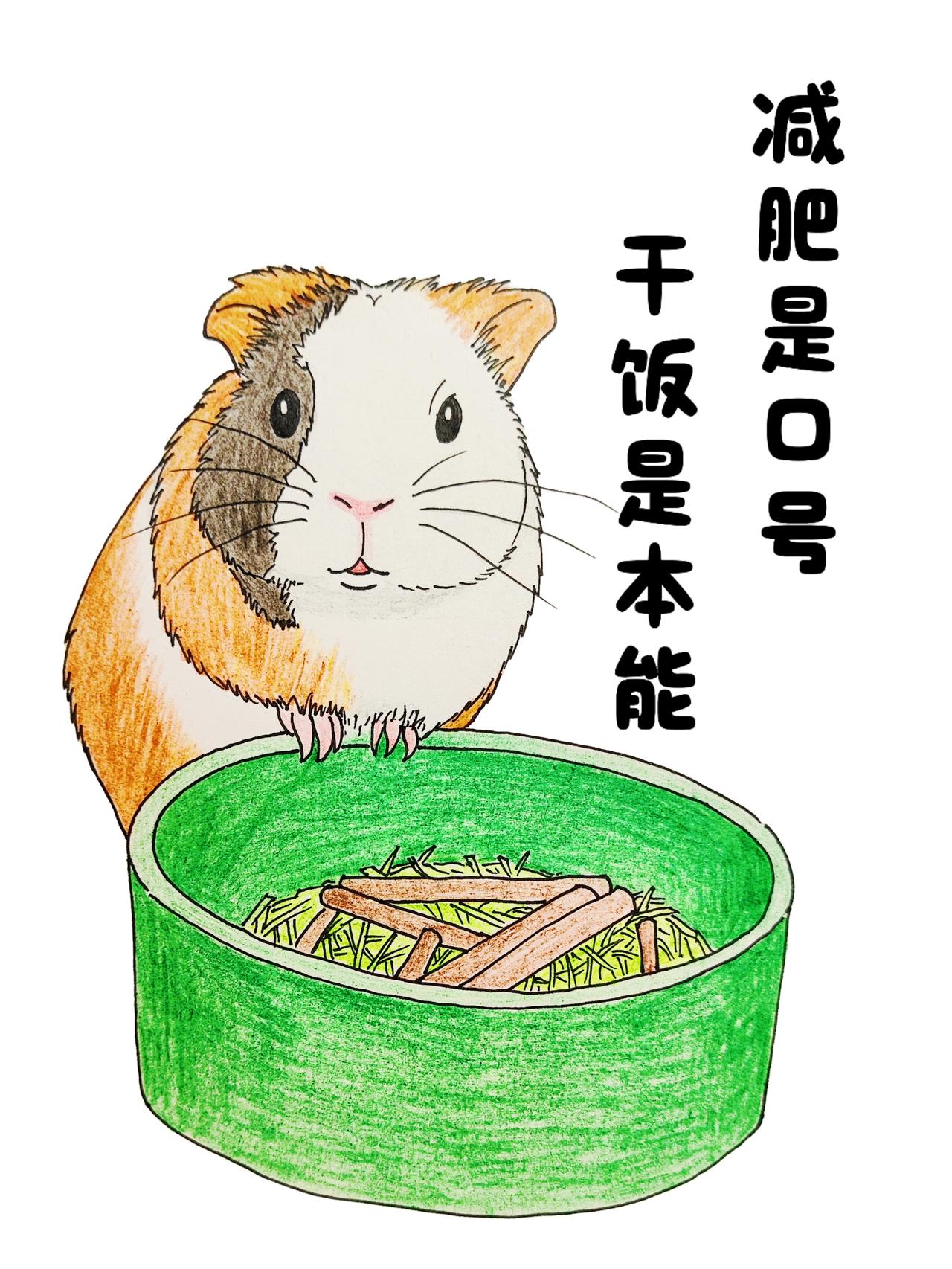 43岁宝妈重启人生之画画(05)不打卡，只记录

不要迷恋打卡，
打卡打不出未来