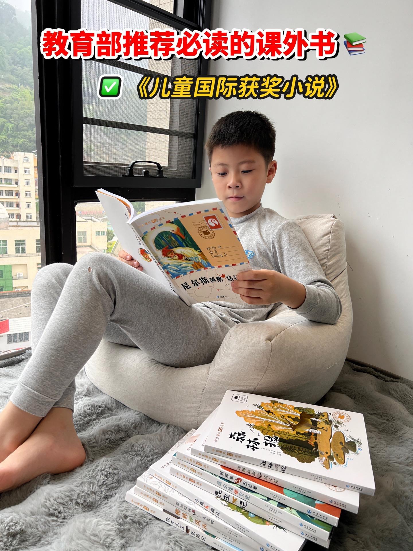 这套全10本《国际获奖儿童小说》太值了，没有一本凑数的！紧跟新课标，是...