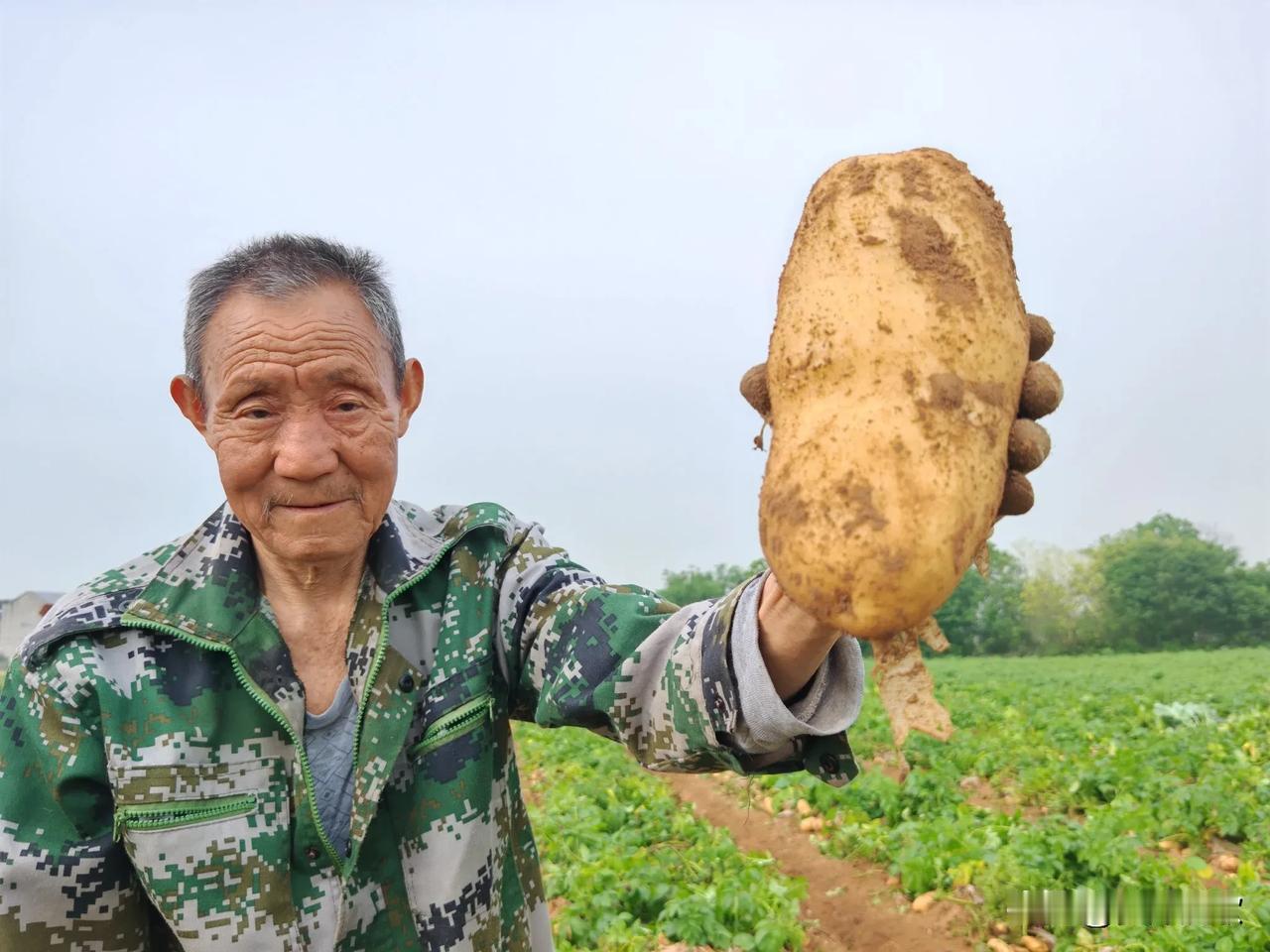 今日生活小确幸
