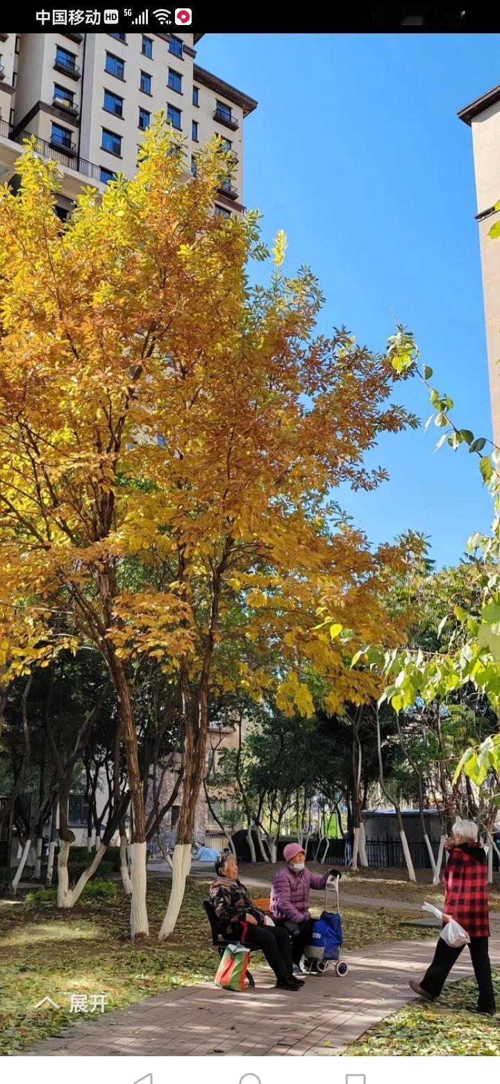 7:30起床，菜市场转一圈，69块拎回家。
猪肝、牛杂、猪肉，肉香能飘到邻居家。