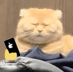 好好的一个双休日为啥还要参加工会活动还要8点到 