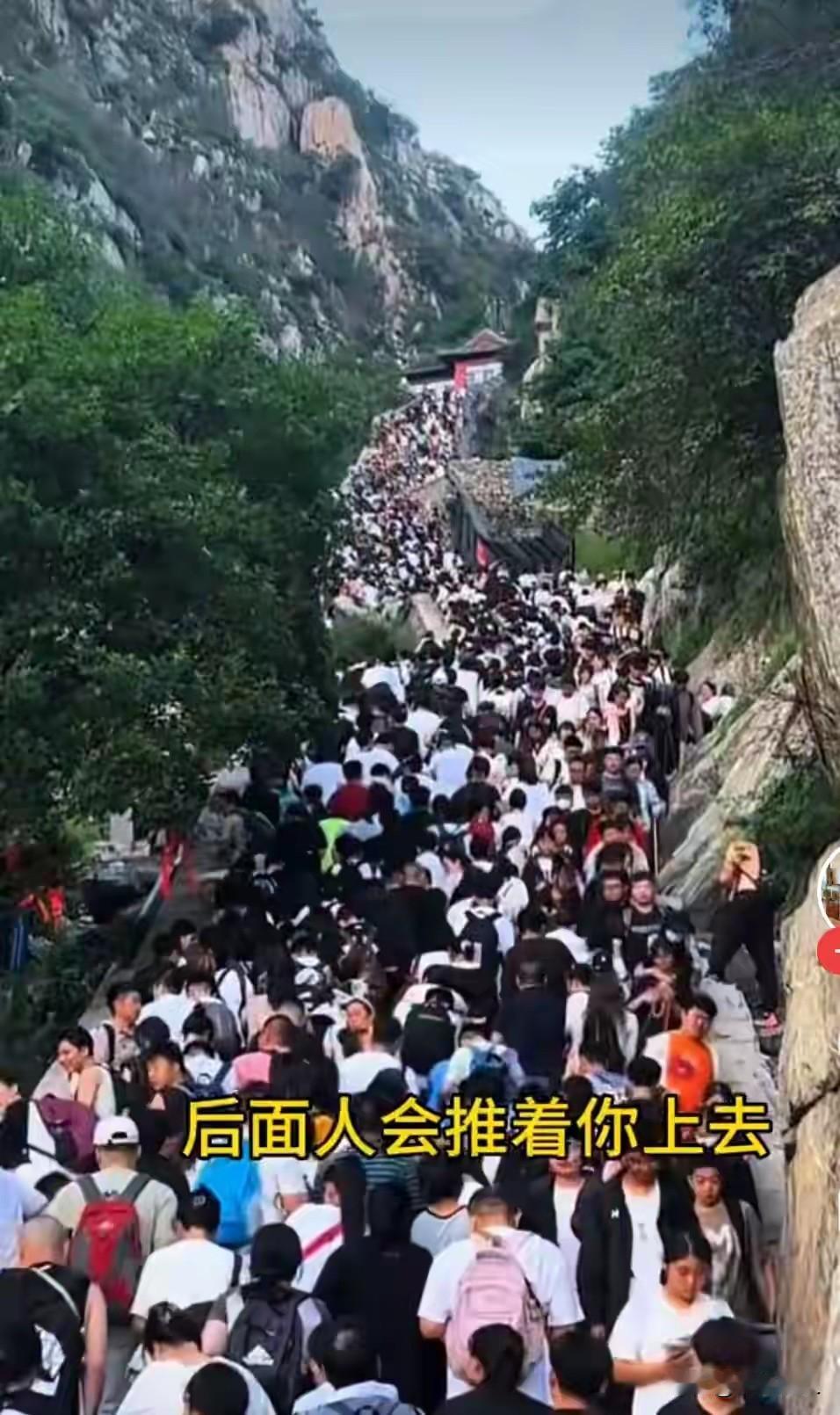 五一“人从众”刷屏！堵山堵海堵信号，我们为何心甘情愿挤人海？
五一假期刚拉开帷幕