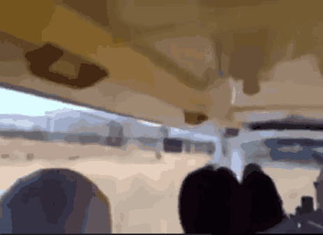 野生动物园这么生猛吗？这算是零距离接触还是结束？
##
稍微受点刺激，后果不堪设