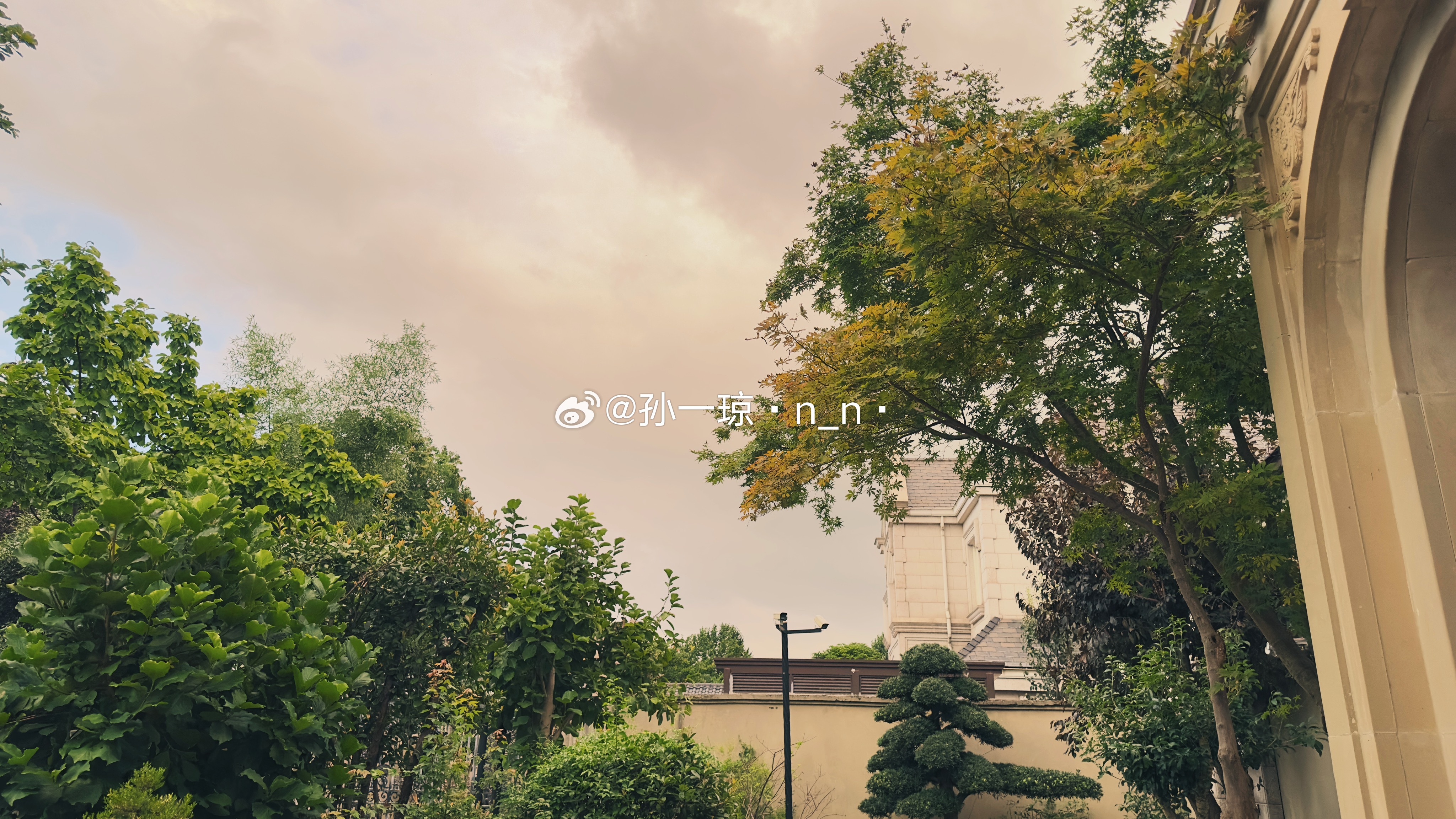 赶在大雨前回家 