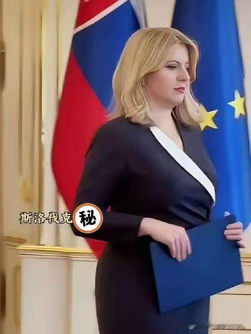 斯洛伐克，一个你可能在地图上都要找半天的欧洲国家，突然站出来，指着日本的鼻子开骂