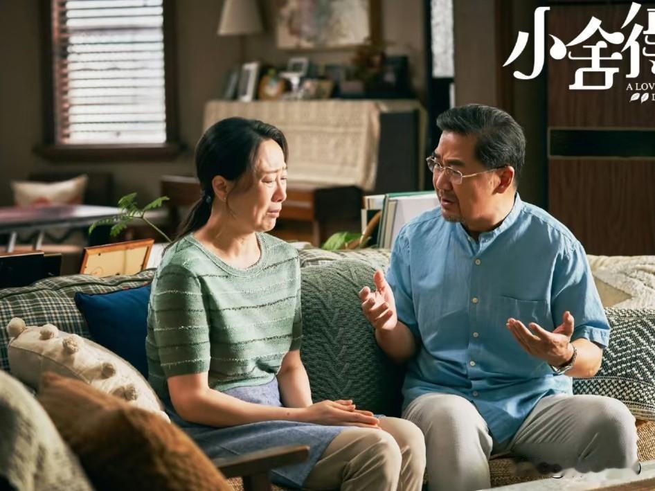前妻腰椎粉碎性骨折卧床，前夫去陪床，被后妻追踪发生混战。
最近看《小舍得》，
演