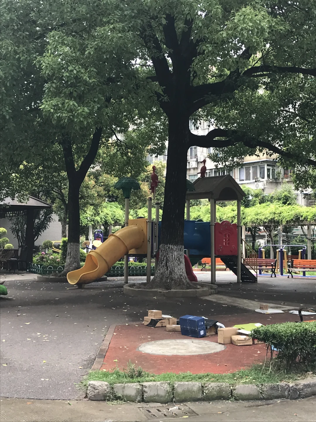 树荫下的儿童乐园