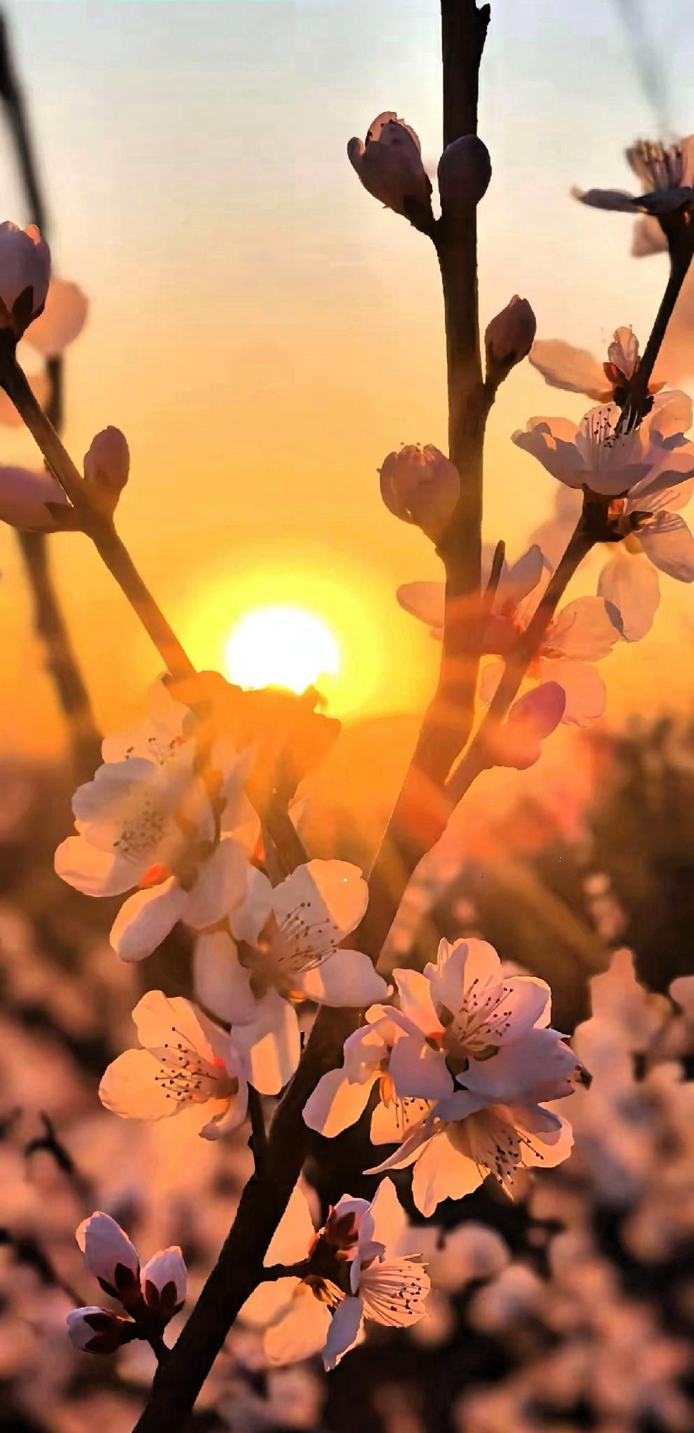 一个真实的故事
​女孩在上海读大学，一天晚上准备和男友去外滩看灯光，路上遇到一位