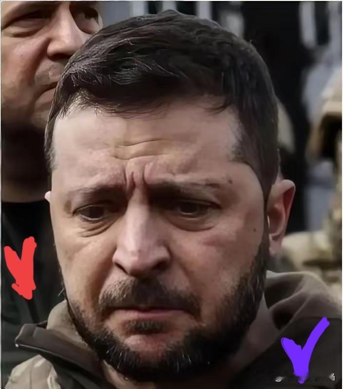 果不其然。
​泽连斯基憋了四年，终于说出大实话——乌克兰现在只有两条路：要么丢尊