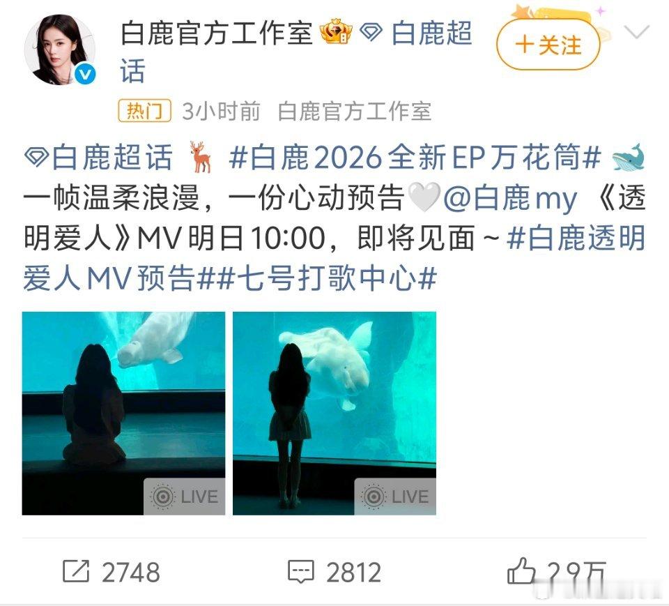 白鹿2026全新EP万花筒出道十周年诚意之作EP《万花筒》真的满是温柔与用心，整
