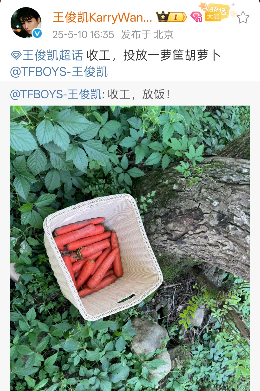 王俊凯一萝筐胡萝卜王俊凯晒收工照，这一罗筐胡萝卜看着就好吃，满满的生活气息[你好