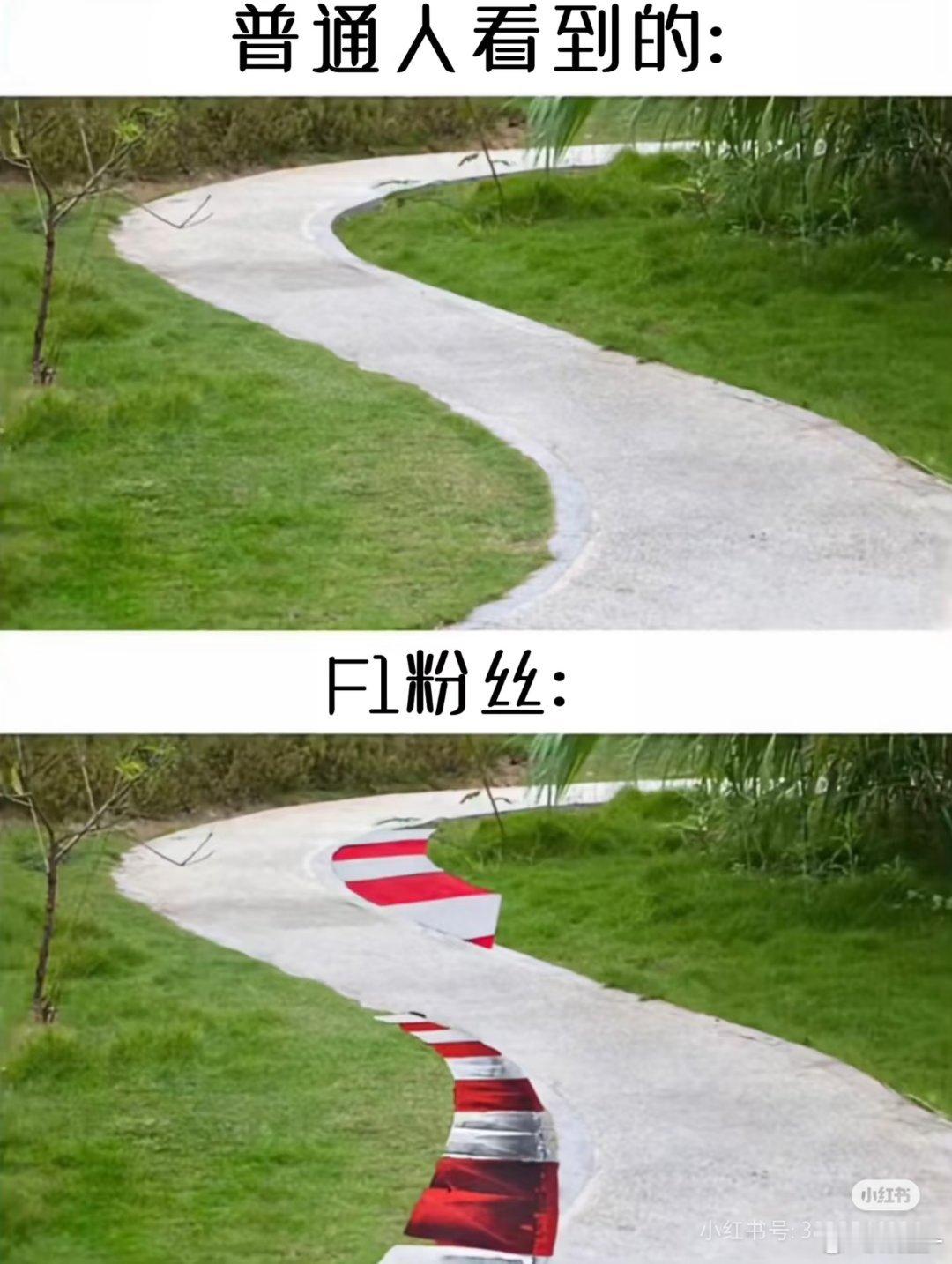 没有不压的路肩，没有不切的弯角F1比赛看多了是这样的吗？[doge] ​​​