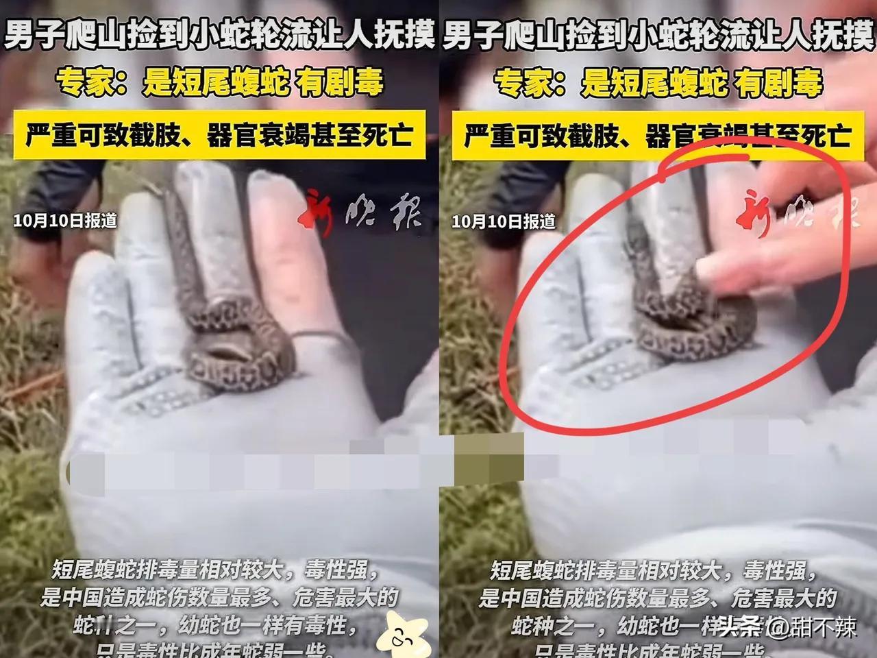 不作不会死！男子去山上徒步登山，偶然发现路边有一条蠕动的物体，起初他以为是蚯蚓，