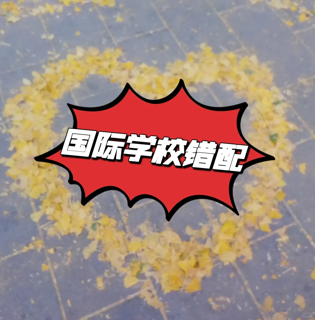 国际学校的“错配”！一个月我就想转学！