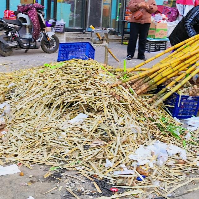 25块一根甘蔗，想吃，舍不得买……

冬天卖甘蔗的好火呀，这甘蔗皮都堆成小山了。