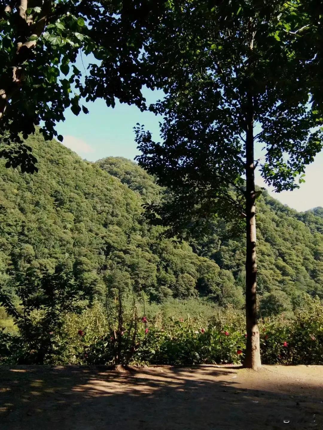 去家政应聘，看到雇主的奇葩要求，我要笑喷了，真不知道这么傻的人是怎么发财的。

