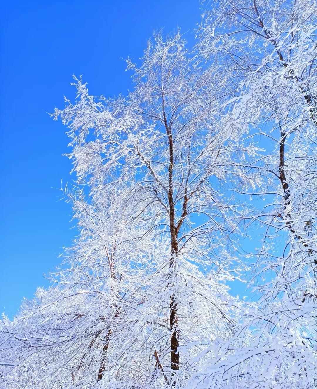 昨天的我，还在为早起挣扎；  
今天的我，已在零下25℃的齐齐哈尔街头晨跑。  