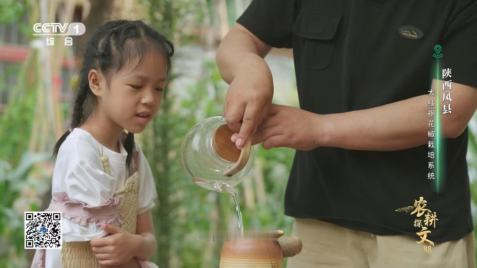 大红袍凤椒赋能茶饮，与茶叶同炒慢炖，搭配丰富食材，清香微麻交织不突兀，治愈味蕾的
