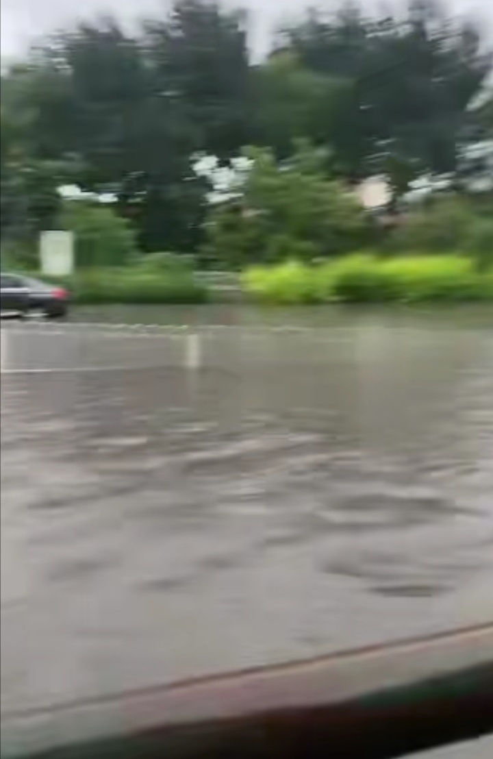 在下雨就可以划船出门了……别下了！！ 