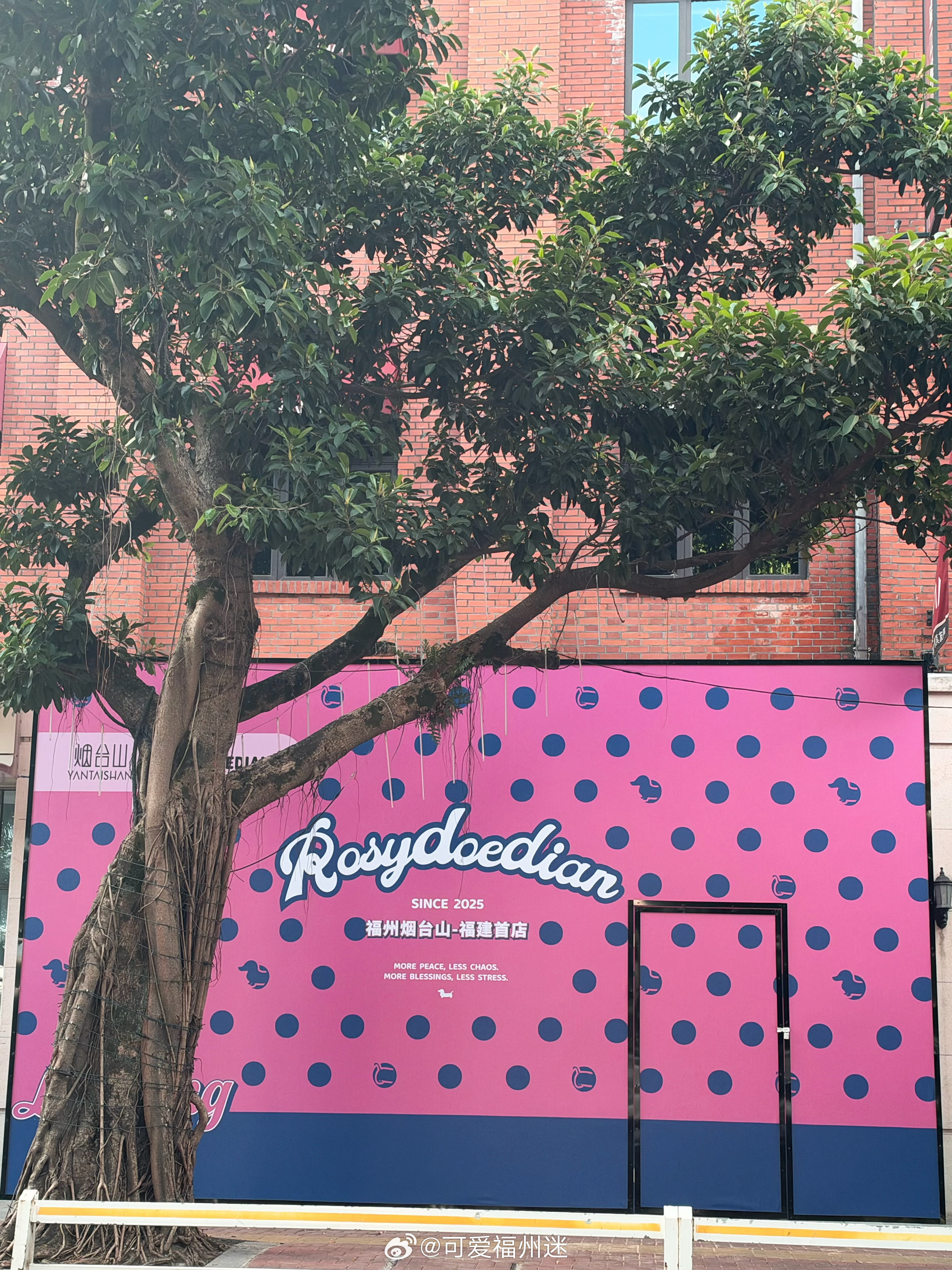 福州商业 / ◌赵露思个人品牌ROSYDOEDIAN福建首店 ​​​