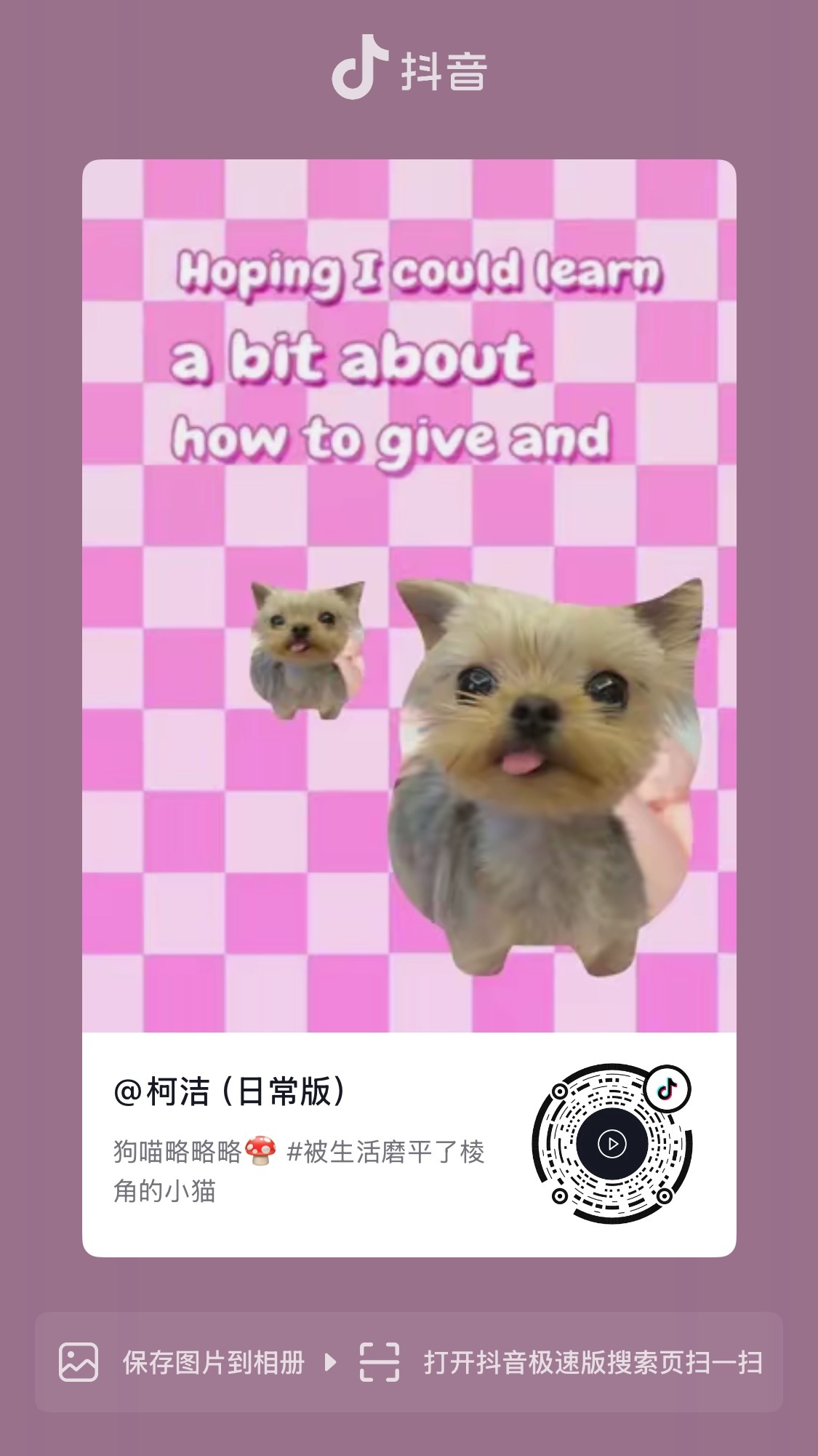 柯九KJ柯柯抖音小号动态搬运