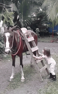 什么品种的马儿怎么个头这么小，专为小朋友而长的吗？