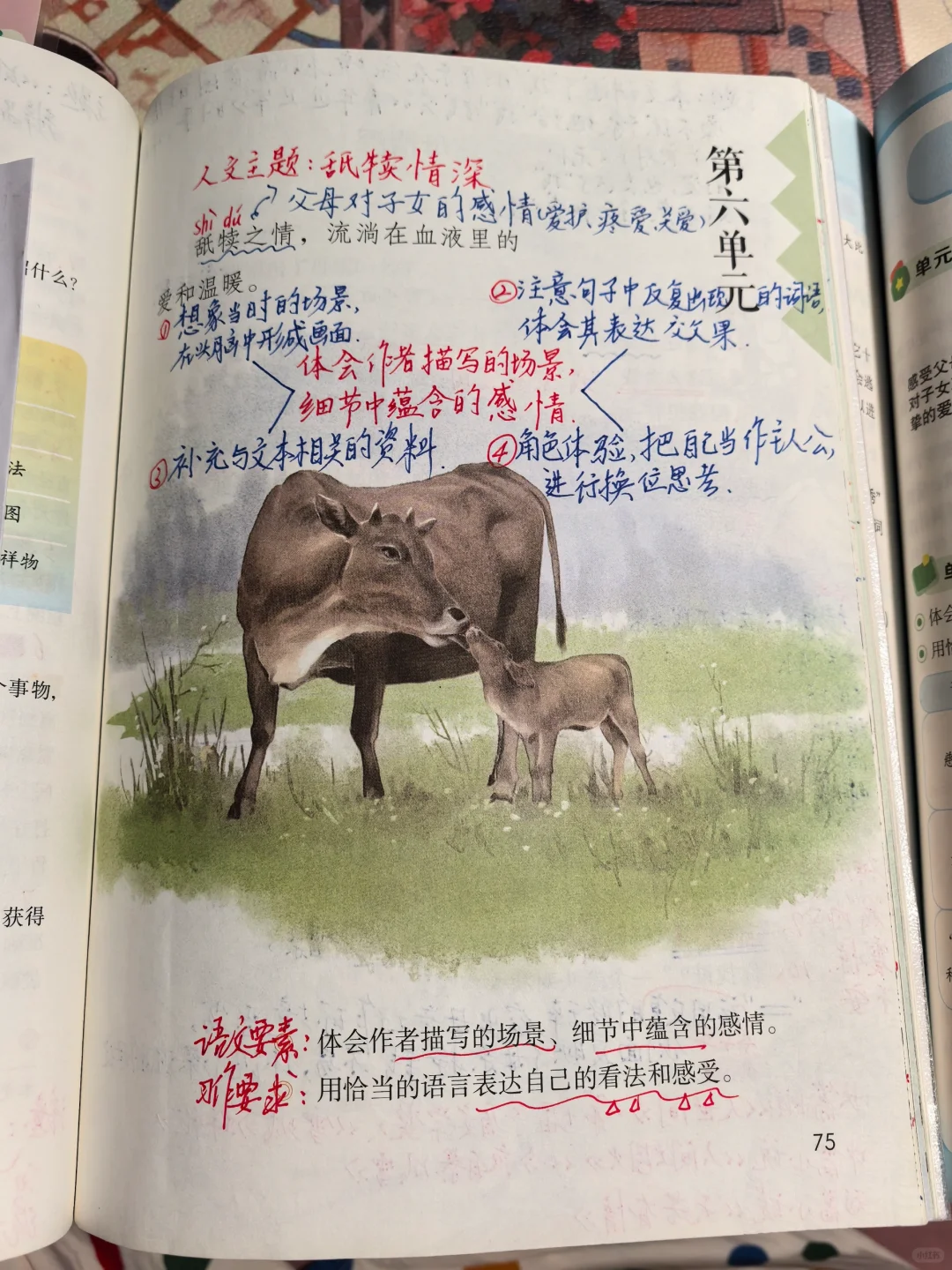 五上备课18《慈母情深》