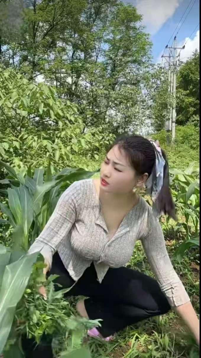 美女薅草 
盛夏炎天暑气蒸，
玉米丛里苦耘耕。
身遭芒刺浑身痒，
忍得辛劳度夏晴