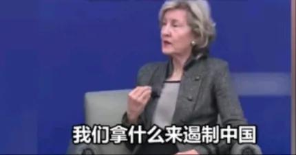 “让中国经济崩溃将是美国的最好筹码”！前美国驻北约大使哈奇森公开言论，拿什么遏制