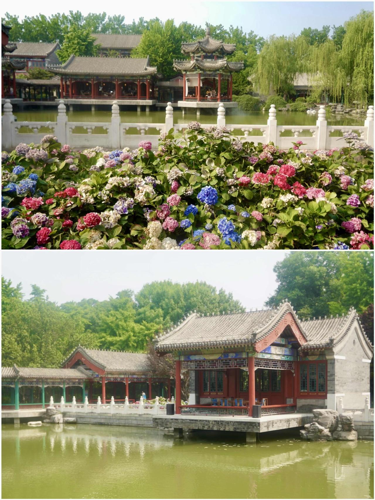 🍃青砖黛瓦间，约上三五闺蜜，踏入百年王府庭院深处，赴一场舌尖上的美味。悠悠茶香