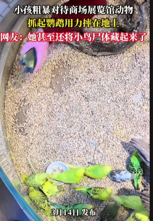 这哪里是孩子，简直就是恶魔！

一小孩粗暴对待商场展览馆动物，抓起鹦鹉用力摔在地