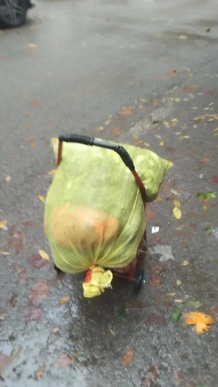 我找一个人品好的，不嫌弃俺的，俺不跳广场舞，不聚会，给我二亩地就行了，在地里我非