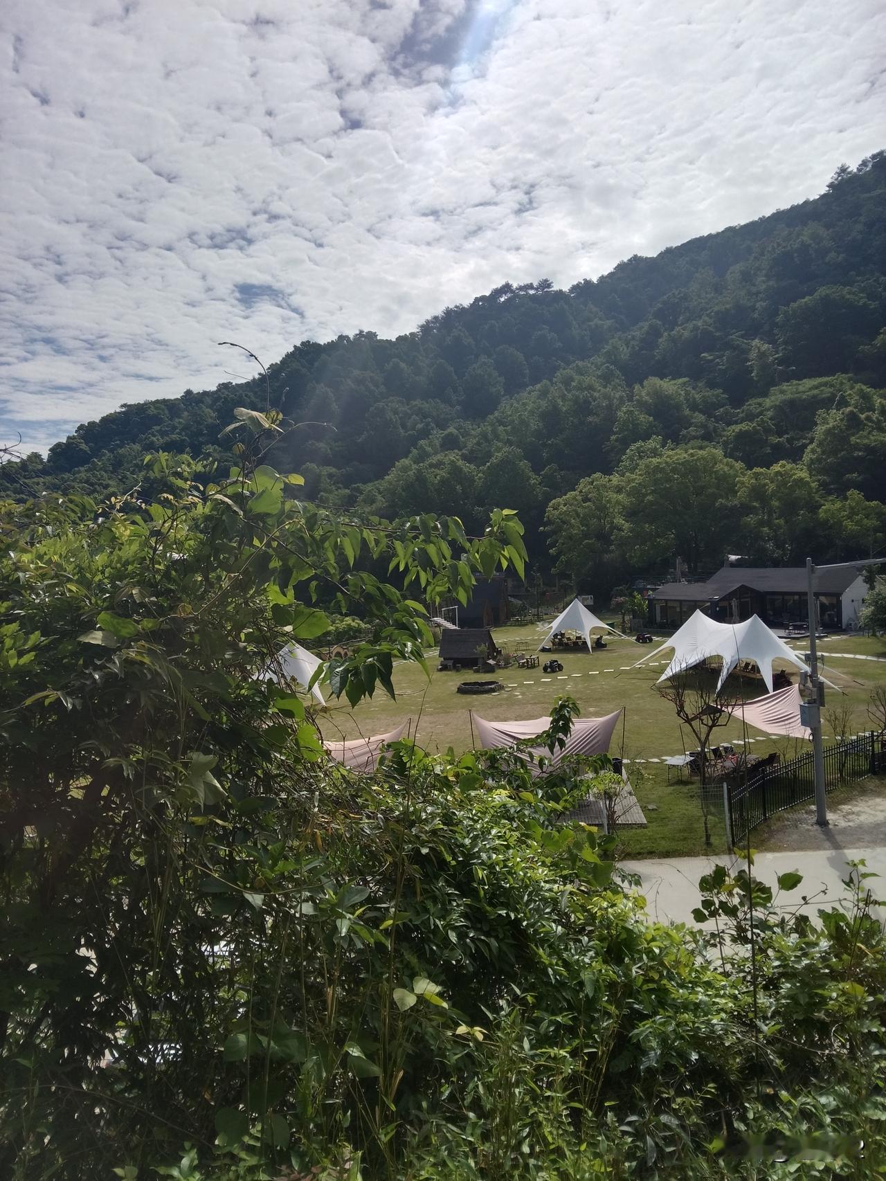 我一直不太明白举报在法律上具体对应哪一条。既然国家设立了举报渠道，自然有其道理。