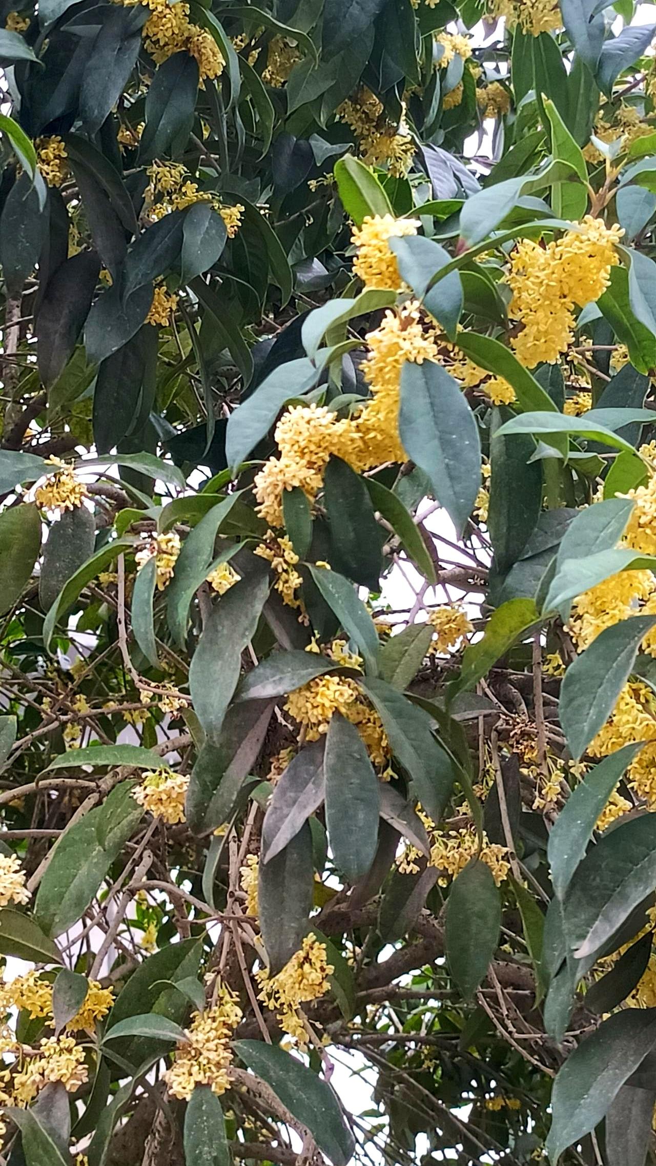 结婚久了才发现，有些男人连刷牙都像在完成KPI？
我老公睡前不刷牙不洗下面，内裤