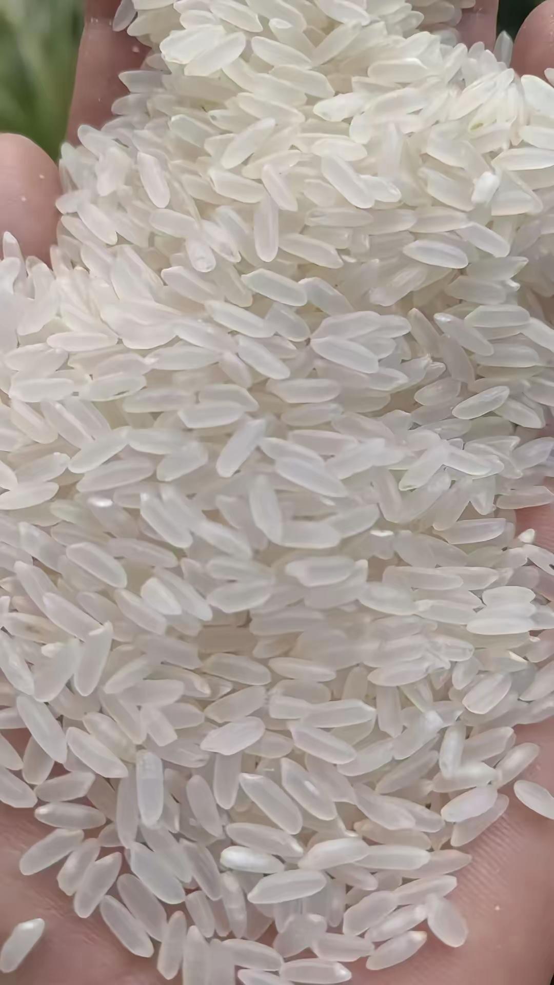前几年到处乱跑的老伙计，今年“十一”小长假都安安分分窝在家里了，买菜做饭跟平时没